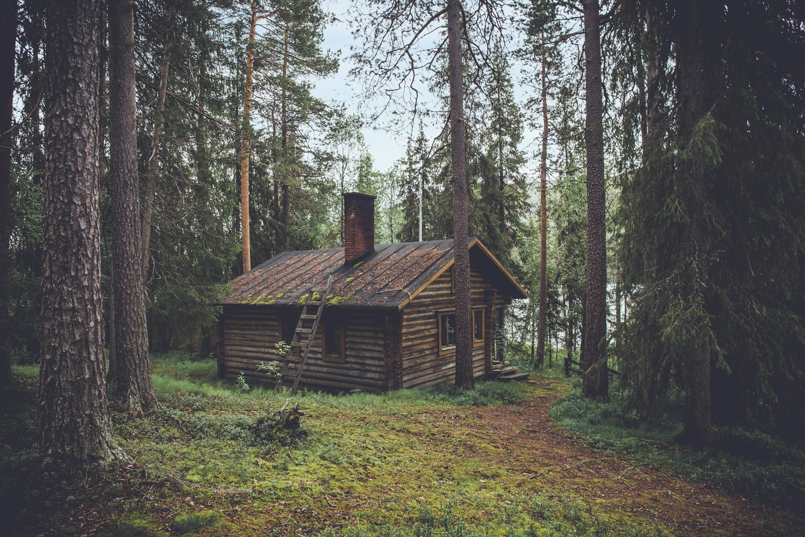 Petit chalet rustique en campagne